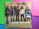 NEW - Lynyrd Skynyrd Icon - LP Root Beer Brown Vinyl Record - Free ShipN