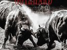 Gotthard - 13 - Used Vinyl Record - V2508S