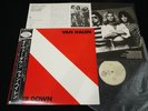 VAN HALEN - DIVER DOWN - JAPAN VINYL LP OBI P-11189 EX-/EX-