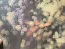 PINK FLOYD LP OBSCURED BY CLOUDS SHSP 4020 1972 EMI LOGO ON LABEL UK Record