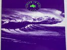 Midnight Oil - Scream in Blue - near mint - OIS