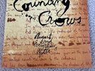 Counting Crows AUGUST AND EVERYTHING AFTER 180 Gram VINYL 2 LP Record No Reserve