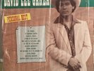 David Lee Garza Lp