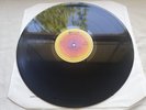 STEELY DAN  COUNTDOWN TO ECSTASY  Sunburst ABC Press UK LP  *MINT COPY*
