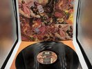 LP MUSICA ROCK Zucchero Sugar Fornaciari* – Oro Incenso & Birra Poly Italy 1989