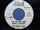 The Zakary Thaks..Can You Hear Your Daddy's Footsteps..TX Garage Rock 45 rpm '67