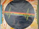 Pink Floyd The Dark Side Of The Moon LP VINILE picture disc SIGILLATO