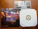 Floorpunch Fast Times At The Jersey Shore WHITE Equal Vision Records 1998 sxe