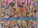 Sufjan Stevens Javelin (Vinyl LP 12
