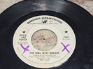 DAVID AND RUBEN   The Girl In My Dreams / I Love Her So Much It Hurts Me   45