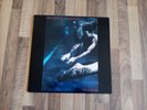 Siouxie And The Banshees Vinyl LP The Scream UK 1978 Excellent/Excellent++