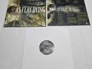 As I Lay Dying An Ocean Between Us Amber/ Gold W/ Aqua Smoke Vinyl Limited