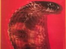Blackfoot  - Strikes (LP, Album)