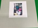 LED ZEPPELIN Presence ,  Super Deluxe Box Set Edition  2LP 2CD