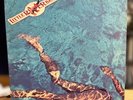 The Little River Band   Greatest Hits   Capitol  ST-12247   NEAR MINT/MINT-