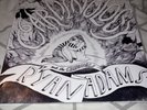 Cardinology by Ryan Adams & The Cardinals (Record, 2008) - Sealed/Mint - Vinyl
