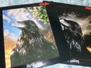 STRANGLERS VINYL LP THE RAVEN HOLOGRAM 3D TYPE COVER PUNK MUSIC - SEE NOTES
