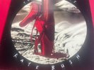 Kate Bush ‎– The Red Shoes Vinyl LP EMI EMD 1047 UK 1993 A-1 B-1