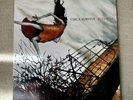 Circa Survive Juturna 2019 Reissue Vinyl LP White Green Brown Swirl x/1000
