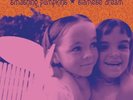THE SMASHING PUMPKINS SIAMESE DREAM 2LP GATEFOLD VINYL
