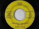 Rockabilly 45 - Bobby Davis - Troubles, Troubles - Rebel Ace - obscure
