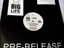 ORB Huge Ever Growing Remix VINYL 12