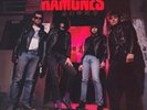 HALFWAY TO SANITY - RAMONES BRAND NEW 2022 LP VINYL RECORD REISSUE