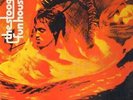 The Stooges Fun House RED LABELS NEAR MINT Elektra Vinyl LP
