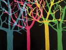 Tapes 'n Tapes - The Loon Vinyl Records Vinyl LP (LP Record Record, Album)