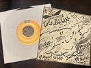 GG ALLIN NO RULES 7” Vinyl Record Orange Records Punk Rock Rare
