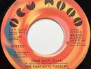 FANTASTIC PUZZLES Come Back NORTHERN/SWEET SOUL 45 *hear*
