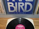 Rare Bird - As Your Mind Flies By 1970 UK Original Charisma Gatefold EX/EX Psych