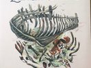 The Lawrence Arms - Skeleton Coast coloured LP