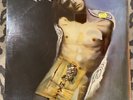 janes addiction vinyl