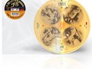 IL BALLETTO DI BRONZO - Ys - Vinile Picture Disc