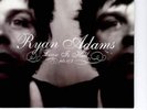 Ryan Adams - Love Is Hell (Vinyl)