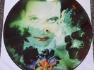 The Cure - Disintegration - PICTURE Vinyl - Schallplatte