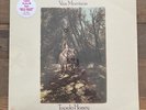 Van Morrison Tupelo Honey STILL SEALED US LP Vinyl Record HYPE STICKER