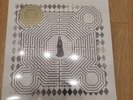 Slowdive - Everything Is Alive with SIGNED Print Opaque Gold Vinyl LP in Hand