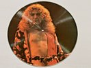 Robert Plant Led Zeppelin Vinyl  Picture Record Disc Central Park 69
