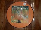 Slayer picture disc Hell Awaits Limited Edition Numbered  Vinyl Record 1985