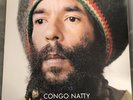Congo Natty - Jungle Revolution -double album Used Vinyl Record rare