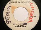 HORACE ANDY See A Man's Face SIGHT N SOUNDS 45 RARE ROOTS REGGAE HEAR