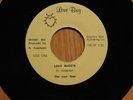 The Love Bugs garage fuzz surf 45 Love Buggn bw Cute Little Stone on Love Bug