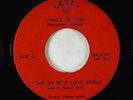 Sweet Soul Gospel 45 - Voices of Zion - Come On Into God's World - Casey
