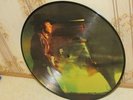 STEVIE RAY VAUGHN - PICTURE RECORD LP DISC  - VG  COULDN'T  STAND THE WEATHER