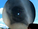 USSR GEORGIAN X-RAY ROENTGEN bones  RECORD  UNIQUE ITEM  AUTHENTIC unknown folk