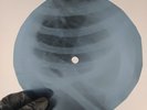 PINK FLOYD APPLE & ORANGES X-Ray USSR Record Roentgen Bones Ribs Music Vinyl