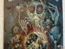Pink Floyd Brain Damage Screaming Abdabs Vinyl LP Live Record