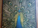 The Bluetones LP Expecting To Fly UK 1996 Superior Quality Numbered 1st Press